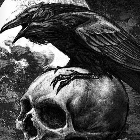 Alchemy Carta Poe's Raven Moto E5 Play Skin